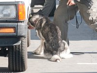 DSC 4193