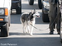 DSC 4194