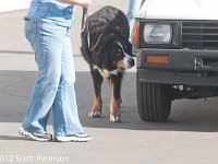DSC 4197