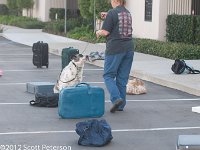 DSC 4202