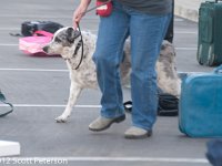 DSC 4205