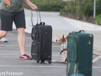 DSC 4239