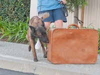 DSC 4251
