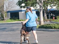 DSC 4256