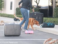 DSC 4268