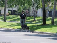 DSC 1500 DxO