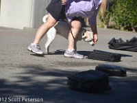 DSC 0060