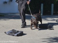 DSC 0079