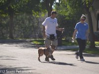 DSC 0083