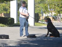 DSC 0095