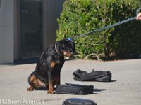 DSC 0097