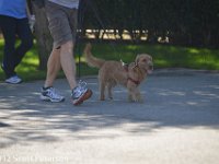 DSC 0098