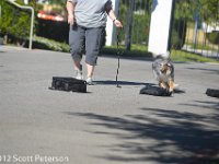DSC 0127