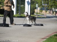 DSC 0169