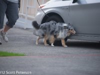 DSC 0332