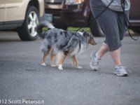 DSC 0335