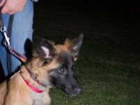 DSC 0347