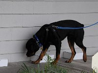 DSC 1575
