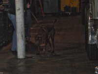 DSC 1593