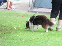 DSC 5900 DxO