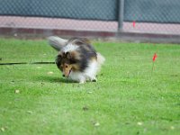 DSC 5913 DxO