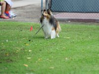 DSC 5916 DxO