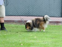 DSC 5920 DxO