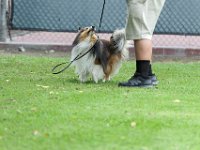 DSC 5925 DxO
