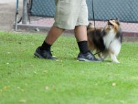 DSC 5926 DxO