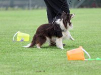 DSC 5938 DxO