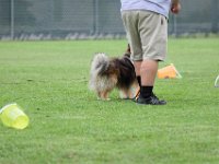 DSC 5950 DxO