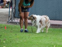 DSC 5970 DxO