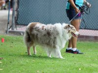 DSC 5971 DxO