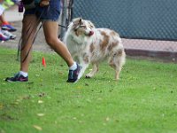 DSC 5973 DxO