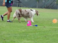 DSC 5983 DxO