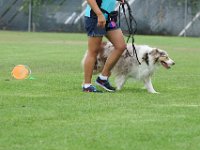 DSC 5984 DxO