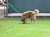 DSC 6020 DxO