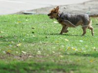 DSC 6109 DxO
