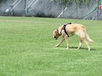 DSC 6149 DxO