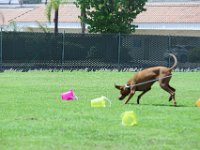 DSC 6301 DxO