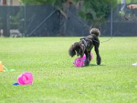 DSC 6398 DxO