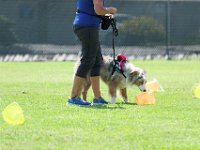 DSC 6420 DxO
