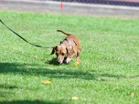 DSC 6509 DxO