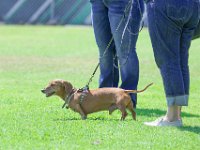 DSC 6519 DxO