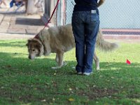 DSC 6550 DxO