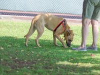 DSC 6559 DxO