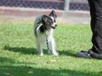 DSC 6601 DxO
