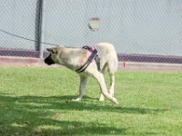 DSC 6619 DxO