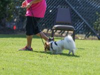 DSC 6351 DxO