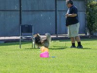 DSC 6363 DxO
